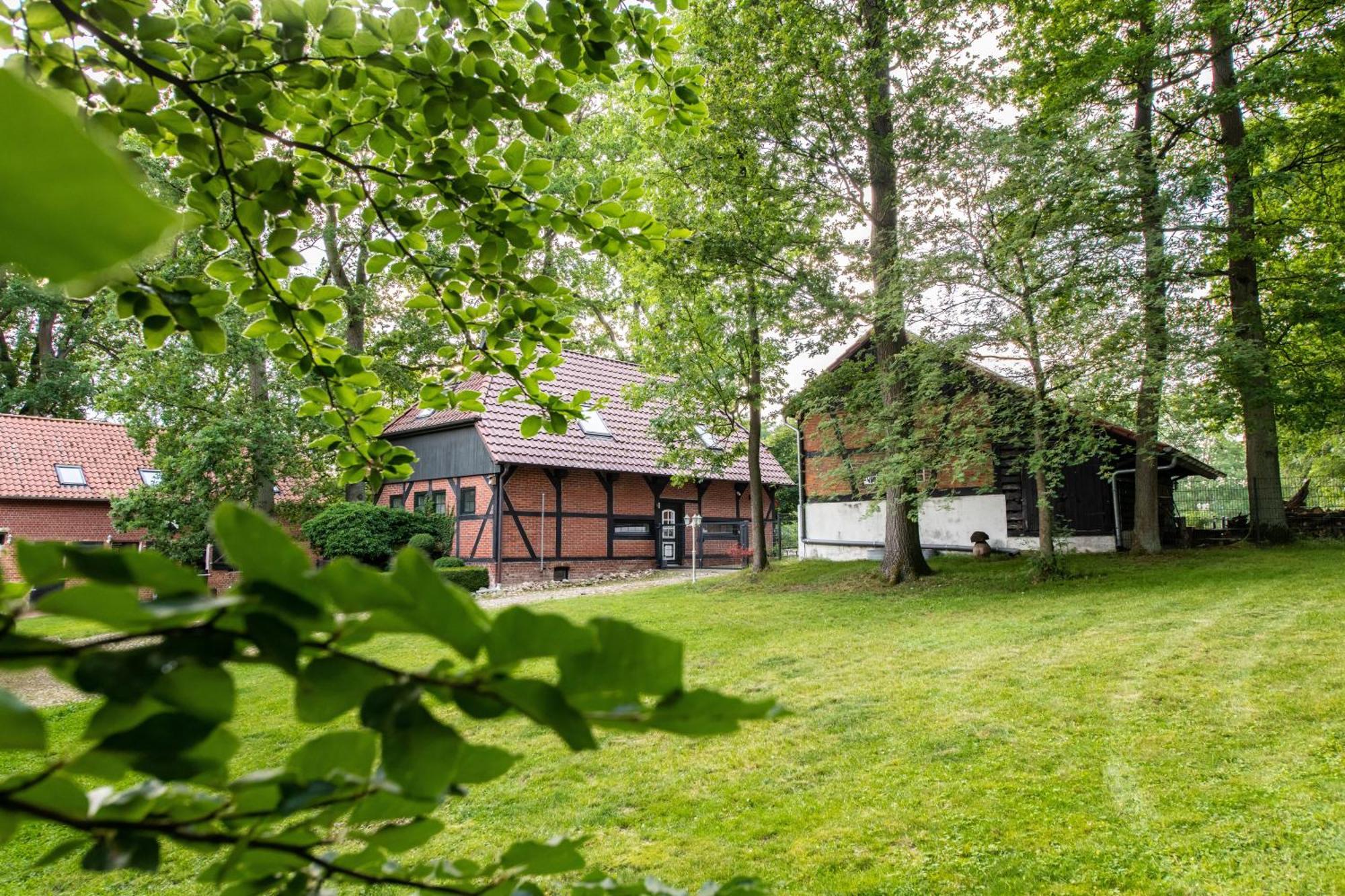 Traumferienwohnung In Der Lüneburger Heide