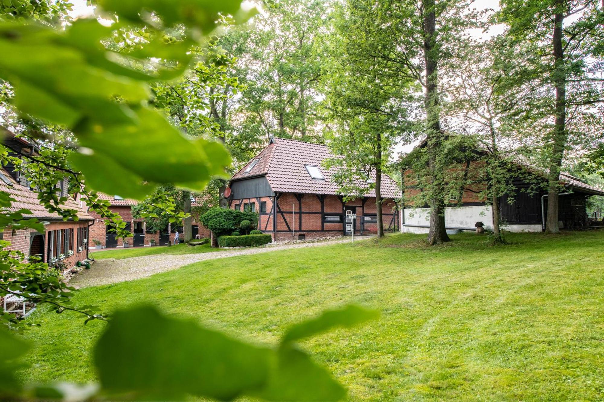 Traumferienwohnung In Der Lüneburger Heide Apartment